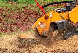 Best Lawn Drainage Solutions  in Twentynine Palms, CA